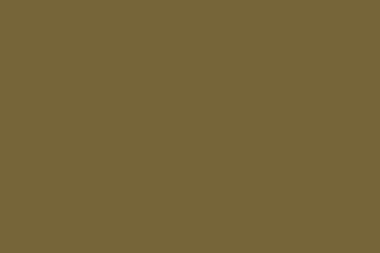 Montana Gold 400ml Spray Paint – Everglade (G1080)