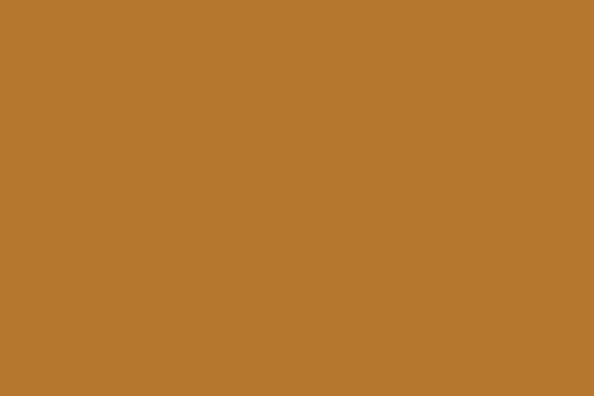 Montana Gold 400ml Spray Paint – Terra (G1250)