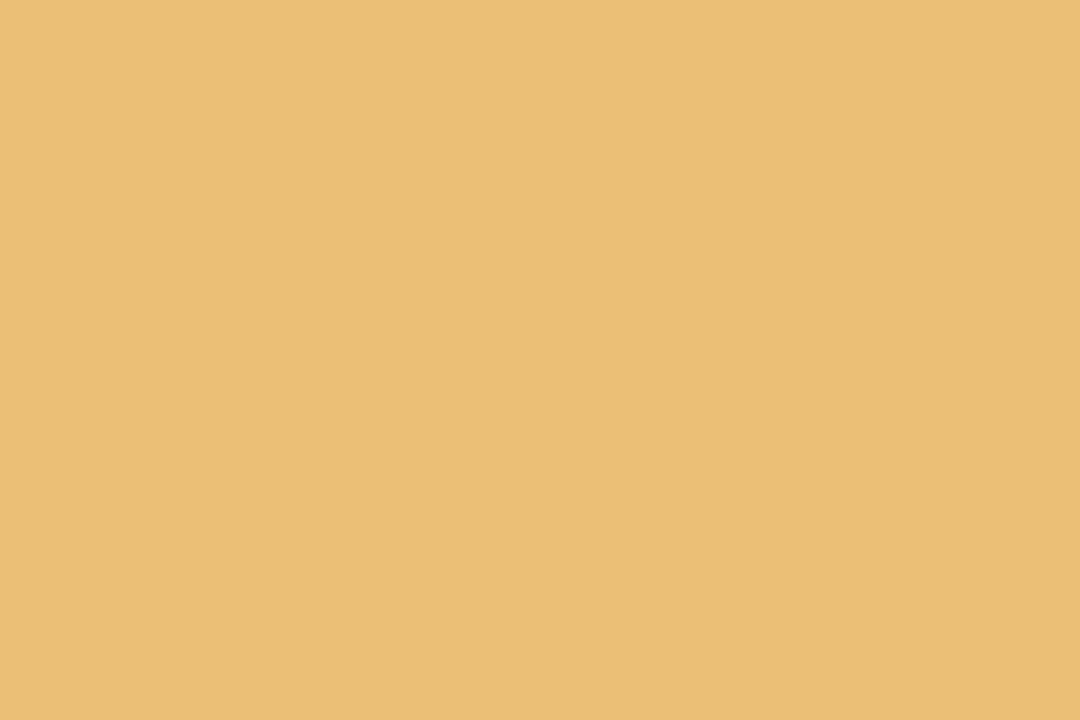 Montana Gold 400ml Spray Paint – Cream Orange (G2020)