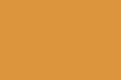 Montana Gold 400ml Spray Paint – Scampi (G2040)
