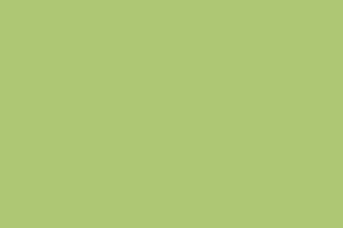 Montana Gold 400ml Spray Paint – Green Apple (G6020)