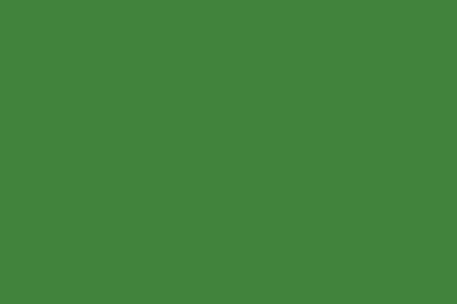 Montana Gold 400ml Spray Paint – Greenery (G6050)