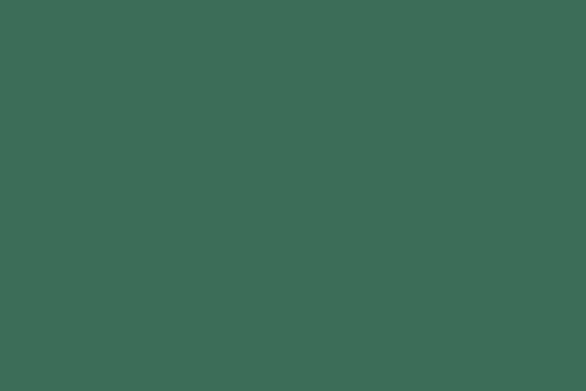 Montana Gold 400ml Spray Paint – Pine (G6160)