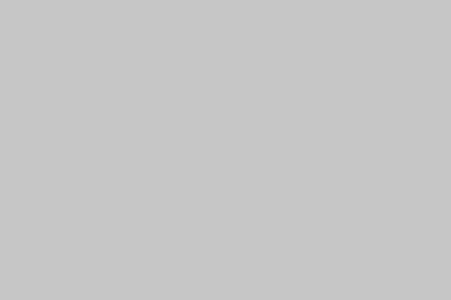 Montana Gold 400ml Spray Paint – Wall (G7020)