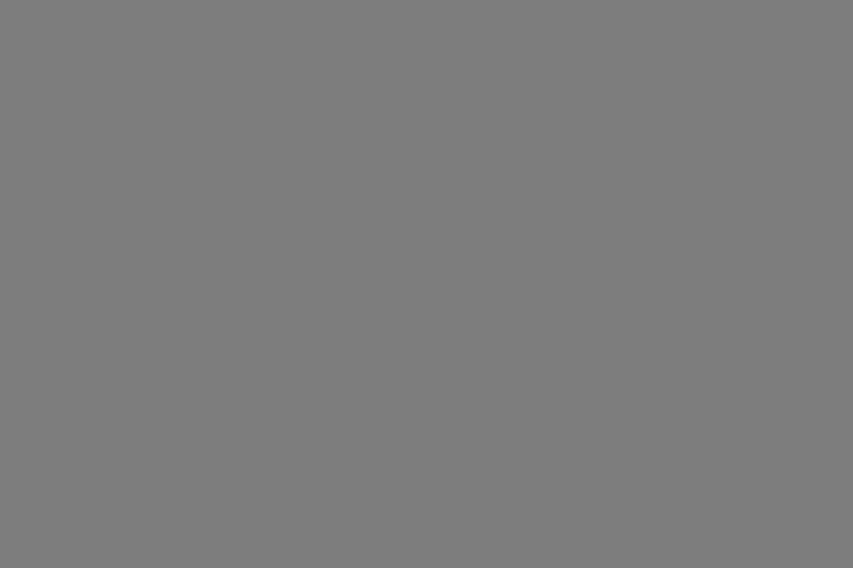 Montana Gold 400ml Spray Paint – Roof (G7050)