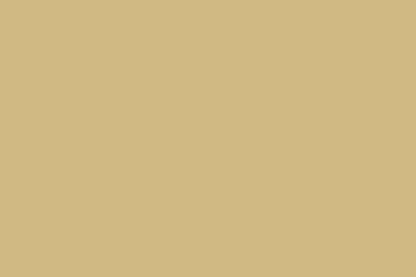 Montana Gold 400ml Spray Paint – Sahara Beige (G8020)