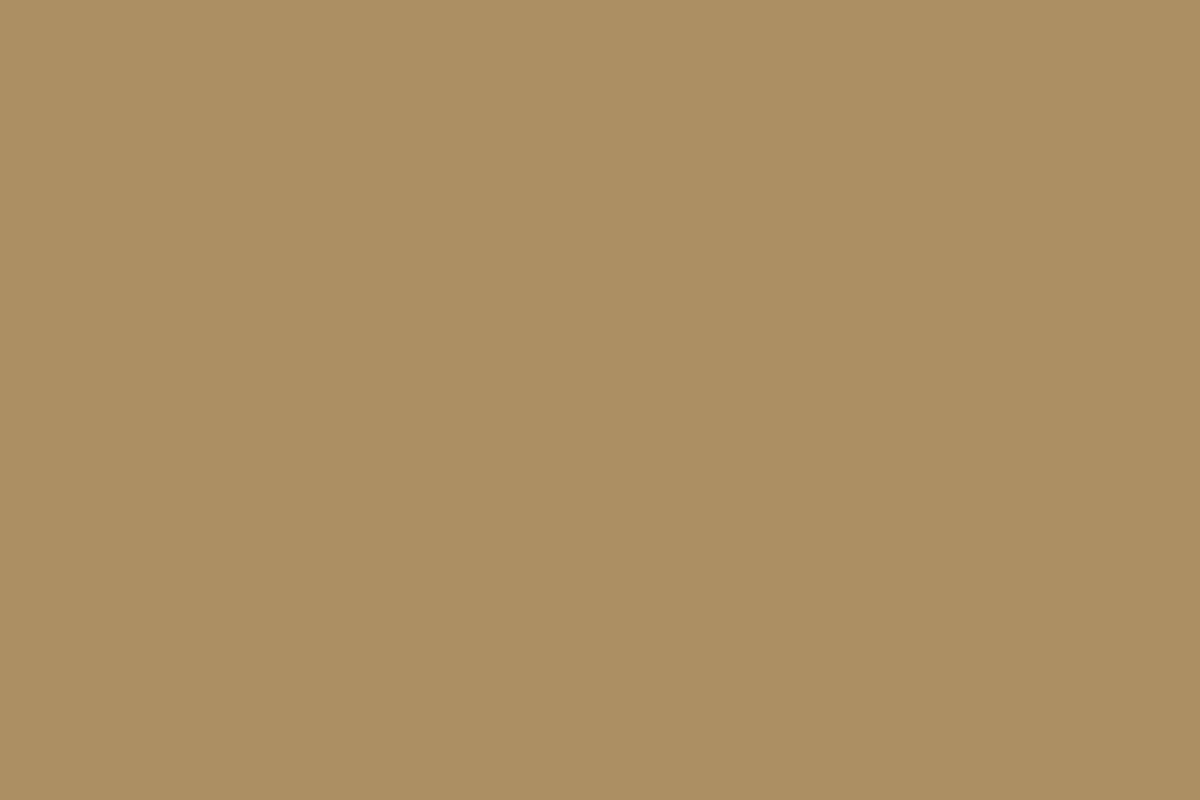 Montana Gold 400ml Spray Paint – Duck Season (G8040)
