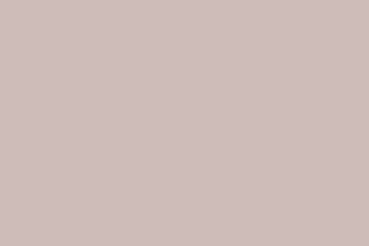 Montana Gold 400ml Spray Paint – Flesh (G8190)