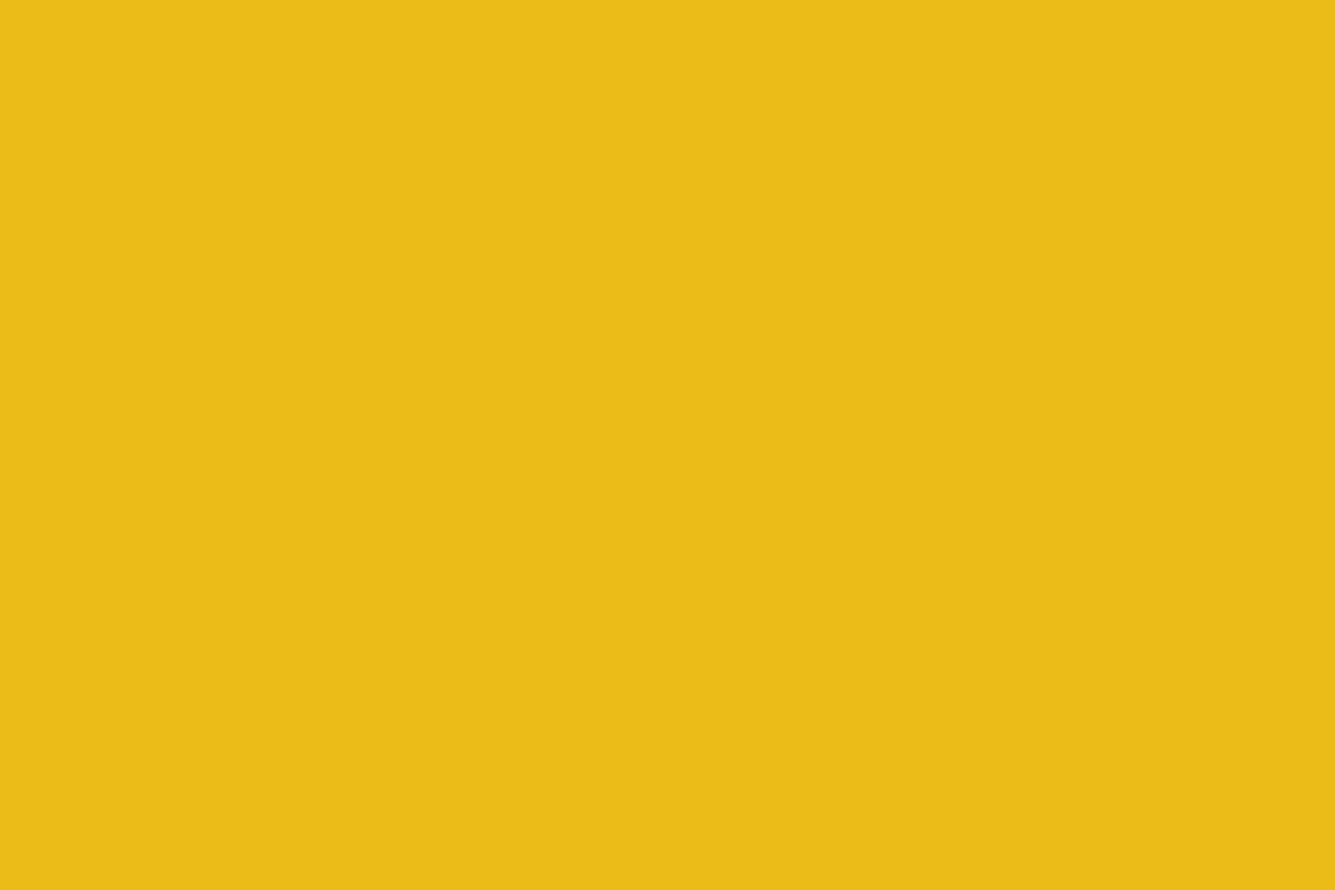 Montana Gold 400ml Spray Paint – Shock Yellow (S1010)