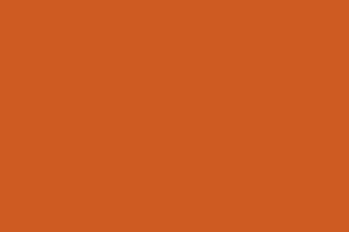 Montana Gold 400ml Spray Paint – Shock Orange (S2010)