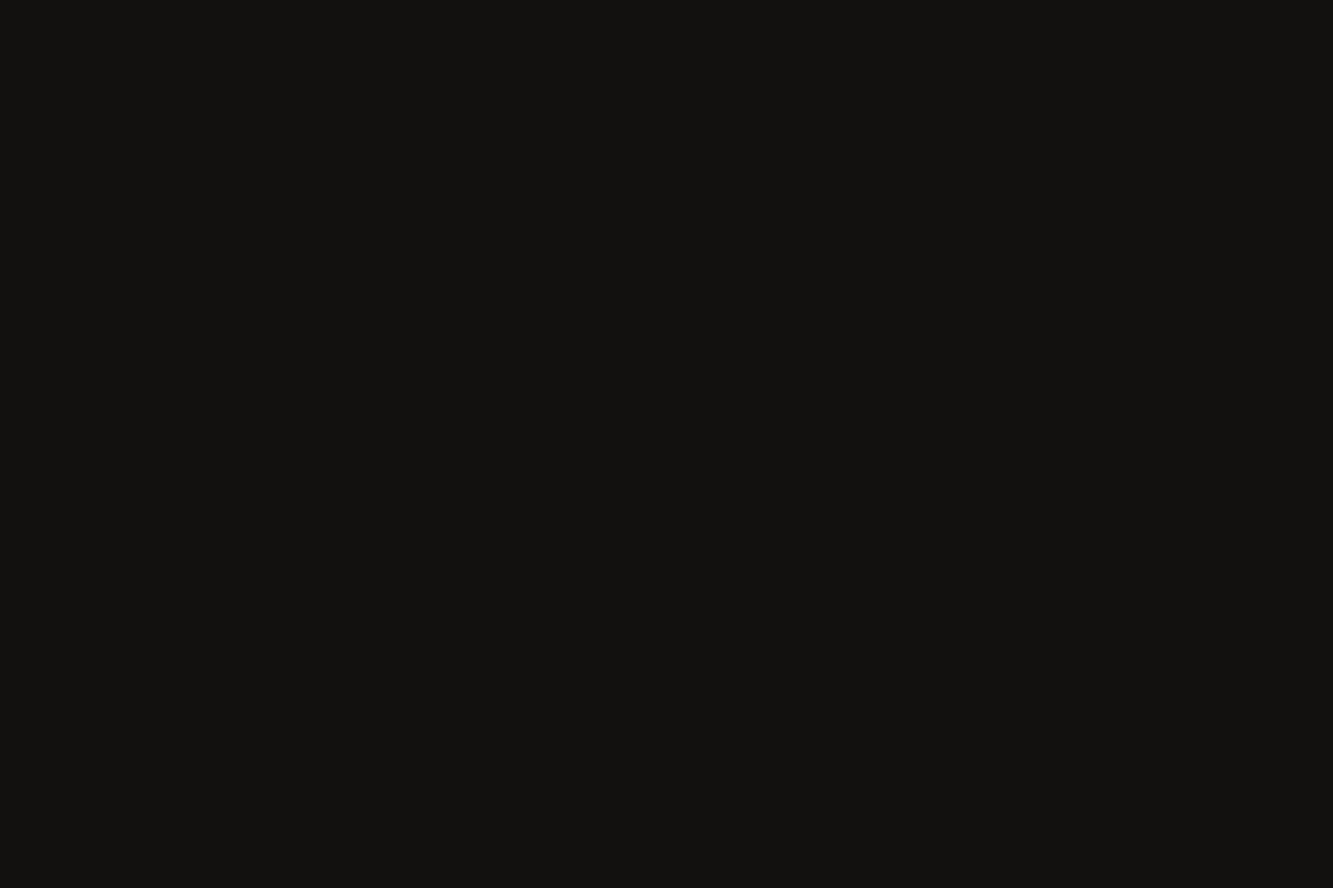 Montana Gold 400ml Spray Paint – Shock Black (S9000)