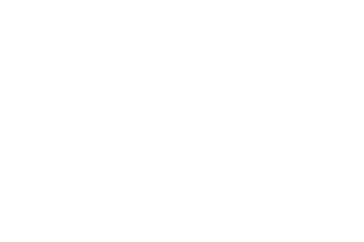 Montana Gold 400ml Spray Paint – Shock White Pure (S9120)