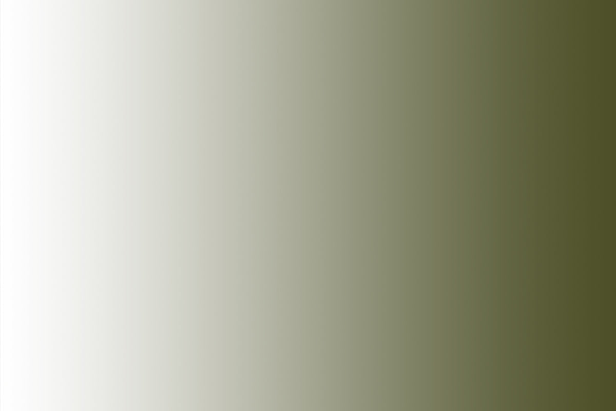 Montana Gold 400ml Spray Paint – Transparent Olive Green (T6340)