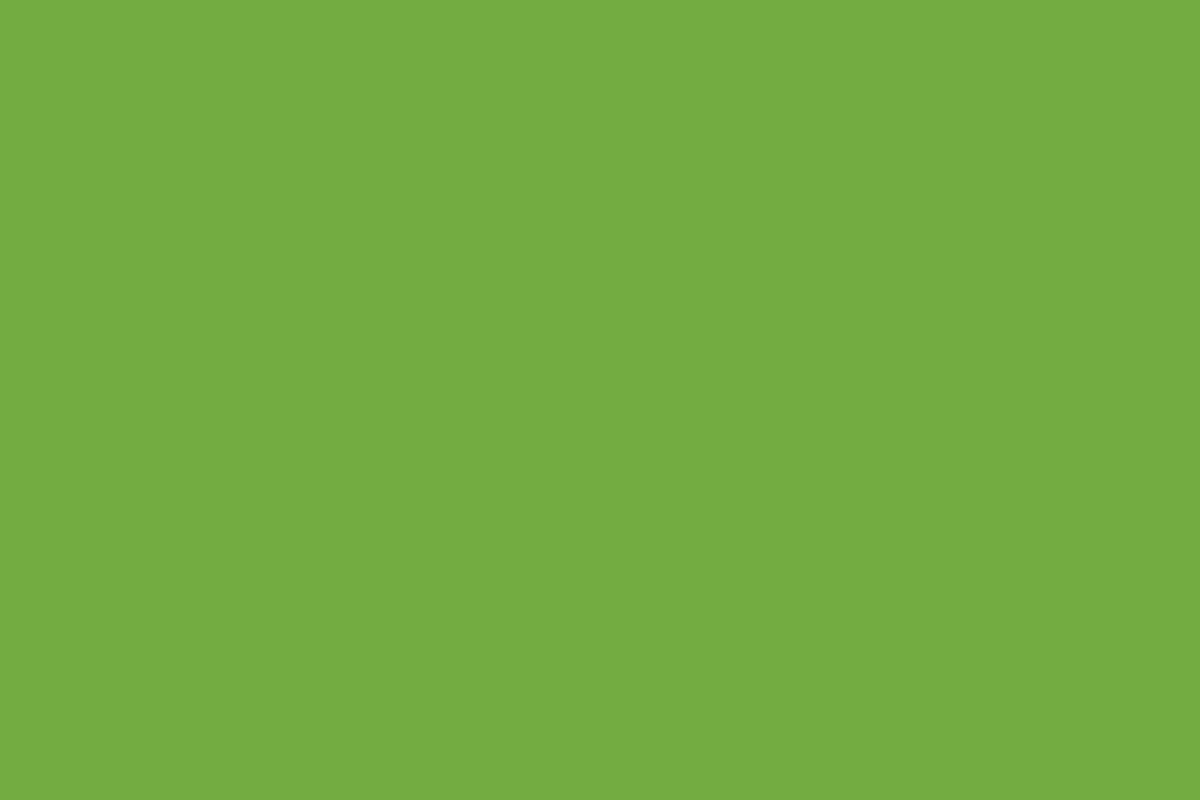 Montana Black Pocket 150ml Spray Paint – Irish Green (BLK 6045)