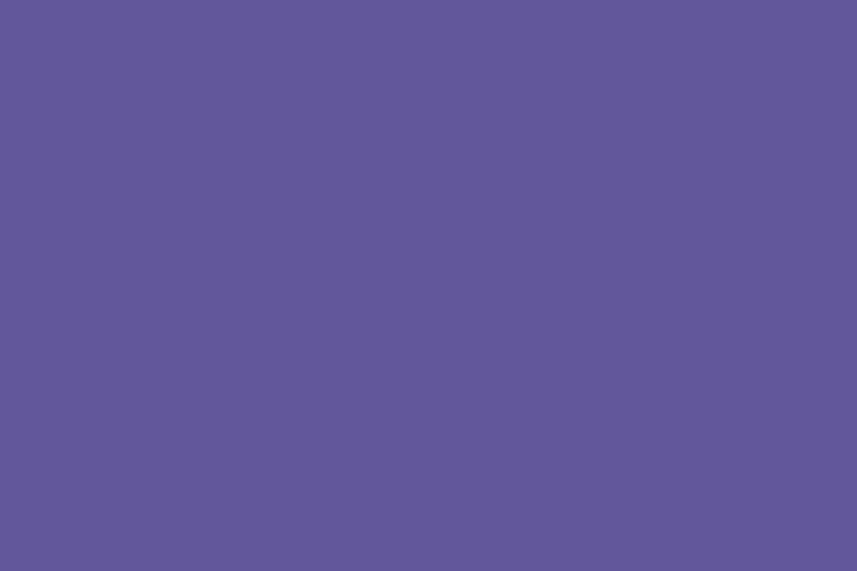 Montana Black 400ml Spray Paint – Royal Purple (BLK 4155)