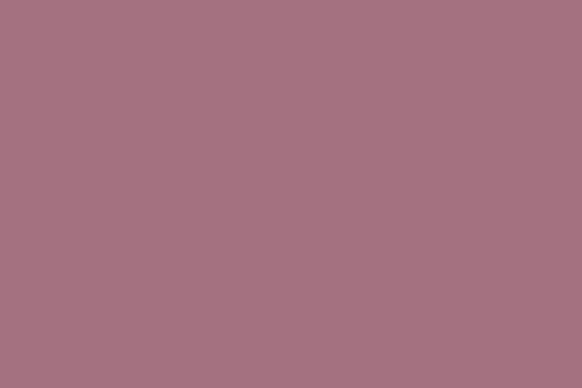 Montana Black 400ml Spray Paint – Plum (BLK 4280)