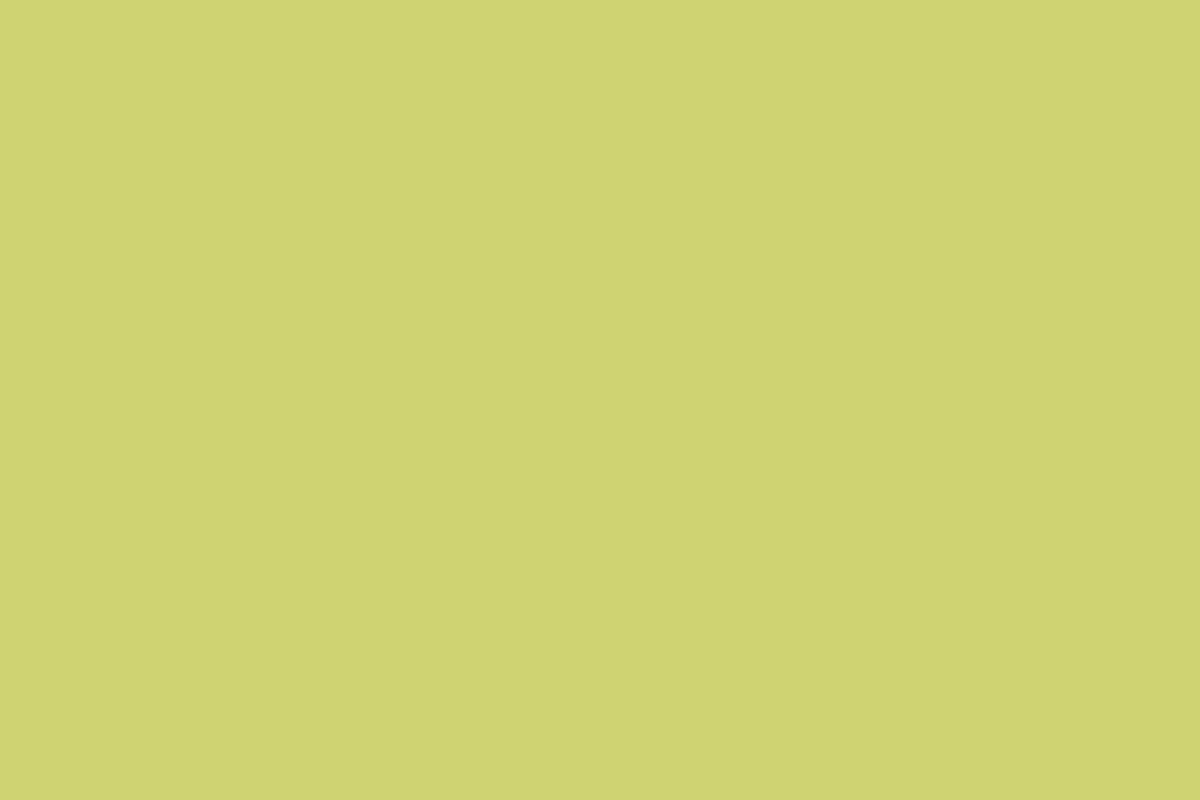 Montana Black 400ml Spray Paint – Spring (BLK 6013)