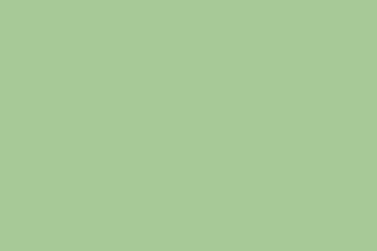 Montana Black 400ml Spray Paint – E2E Green (BLK 6210)