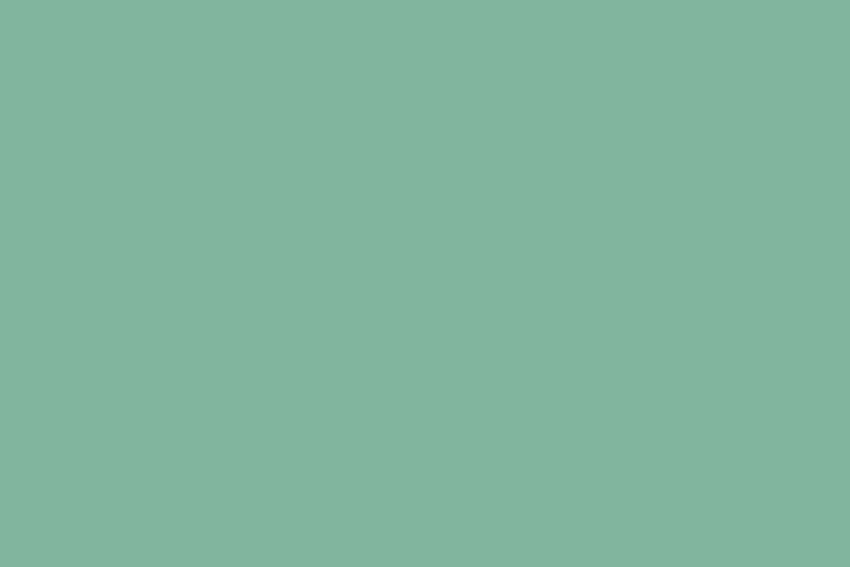 Montana Black 400ml Spray Paint – Patina (BLK 6330)