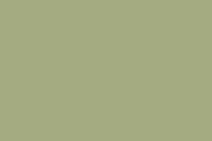 Montana Black 400ml Spray Paint – Reseda (BLK 6430)