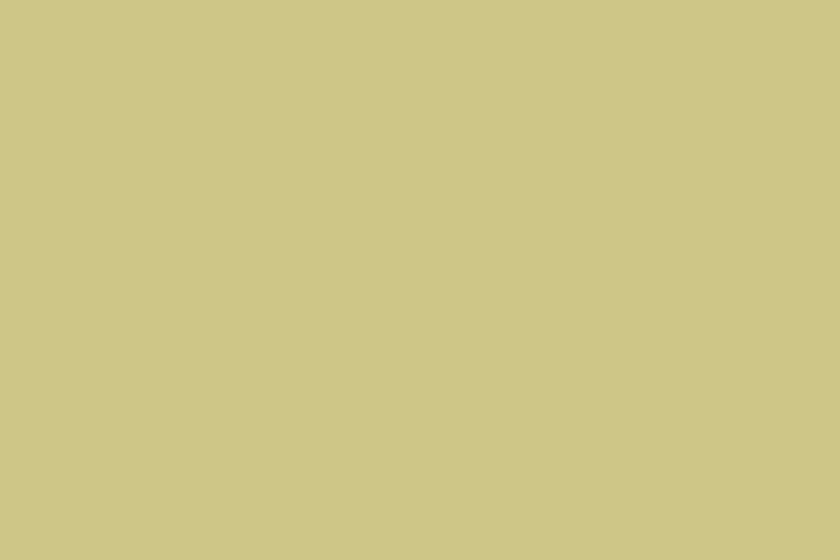 Montana Black 400ml Spray Paint – Bamboo (BLK 6610)