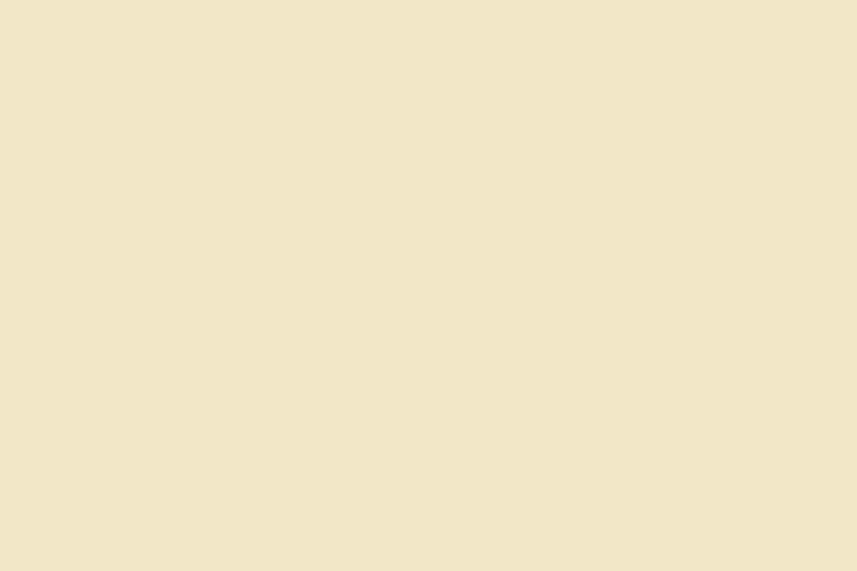 Montana Black 400ml Spray Paint – Ivory (BLK 8000)