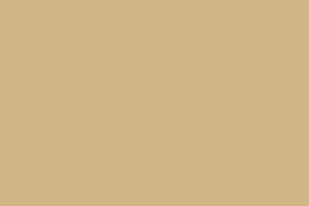 Montana Black 400ml Spray Paint – Beige (BLK 8020)