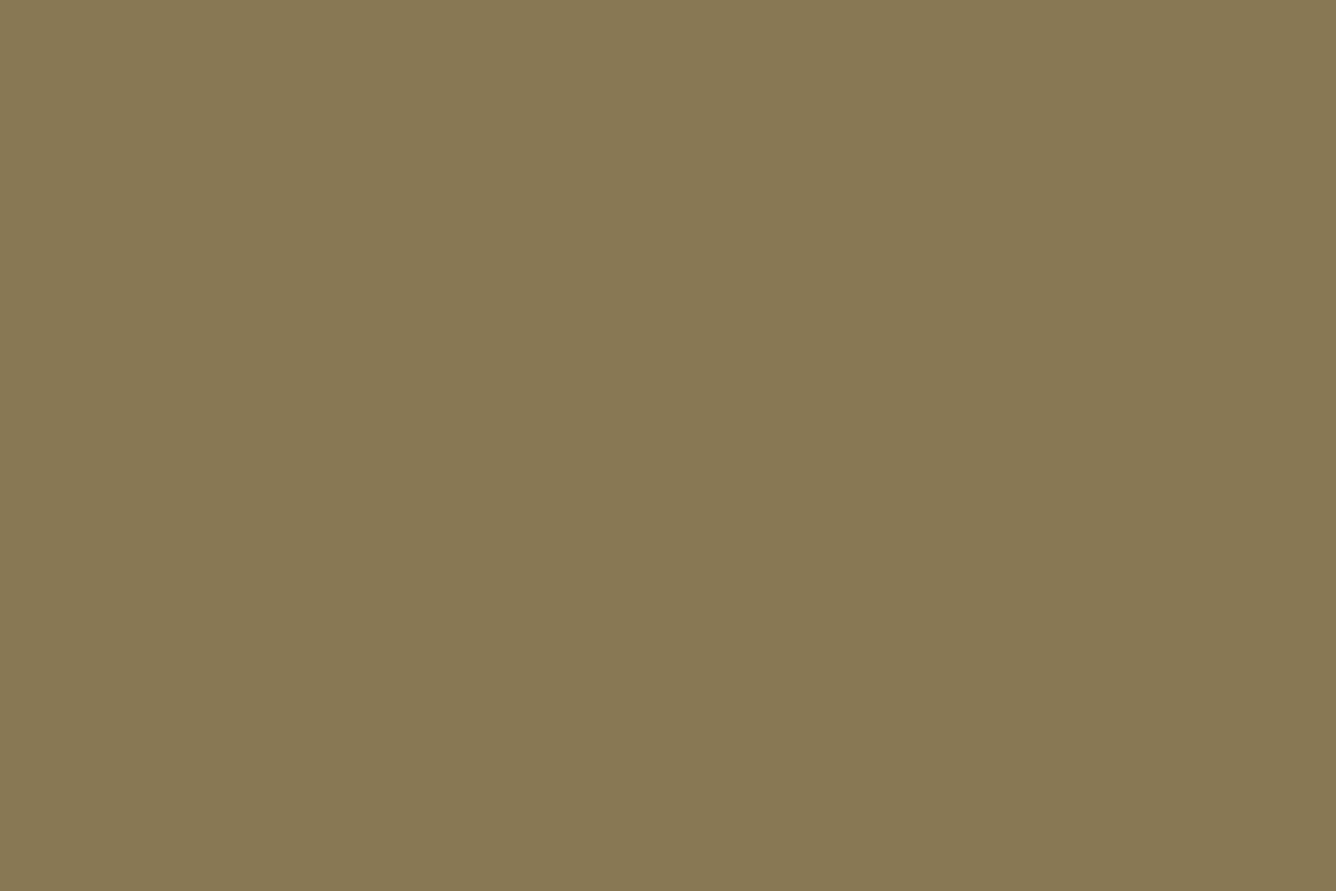Montana Black 400ml Spray Paint – Syrian (BLK 8130)