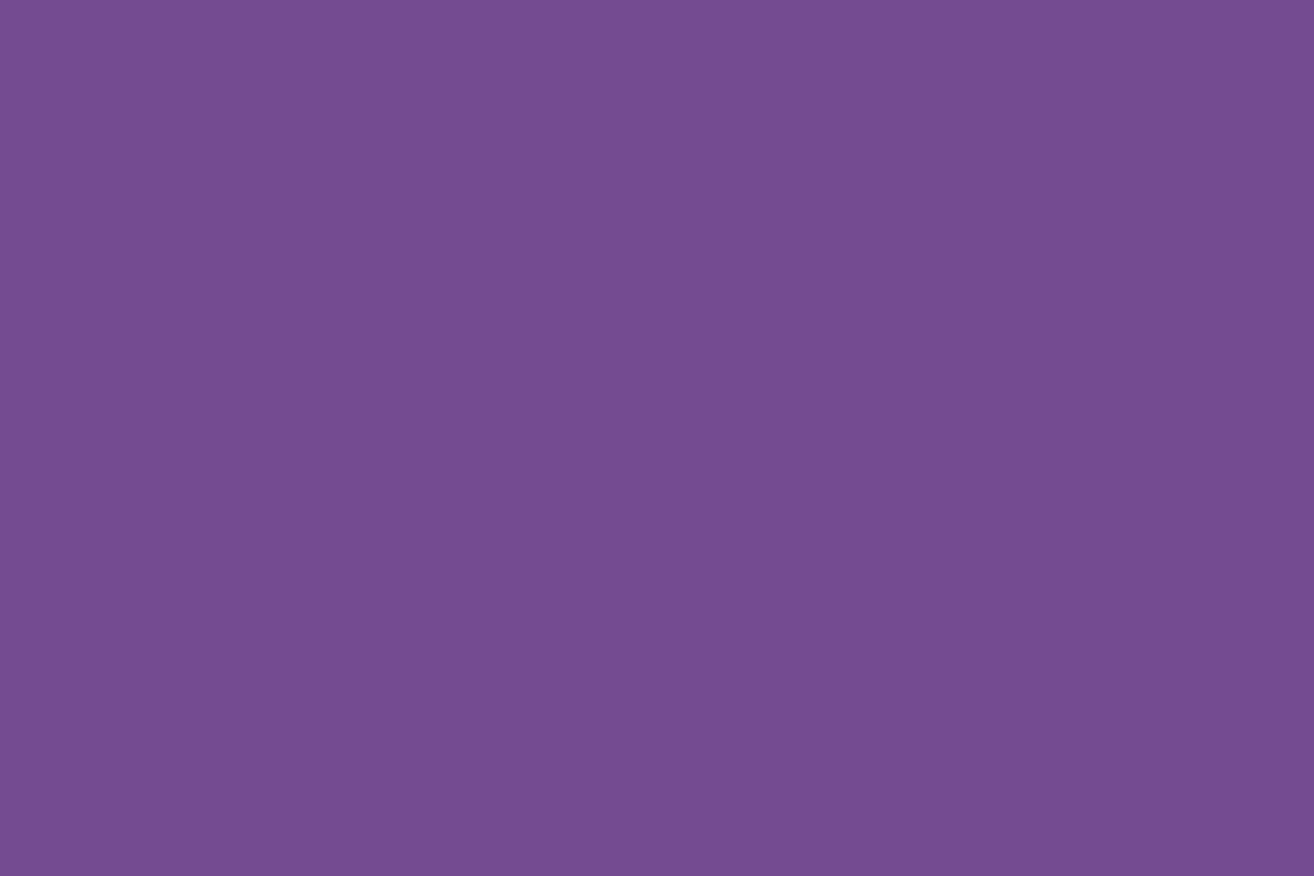 Montana Black 400ml Spray Paint – Infra Violet (BLK IN4500)