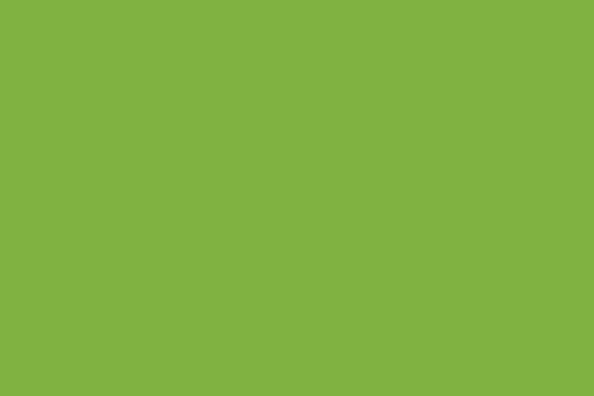 Montana Black 600ml Spray Paint – Power Green (BLK P6000)