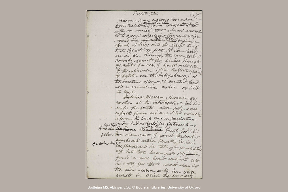 Paperblanks Mary Shelley, Frankenstein Ultra Hardback Journal – Lined, 144 Pages – design detail