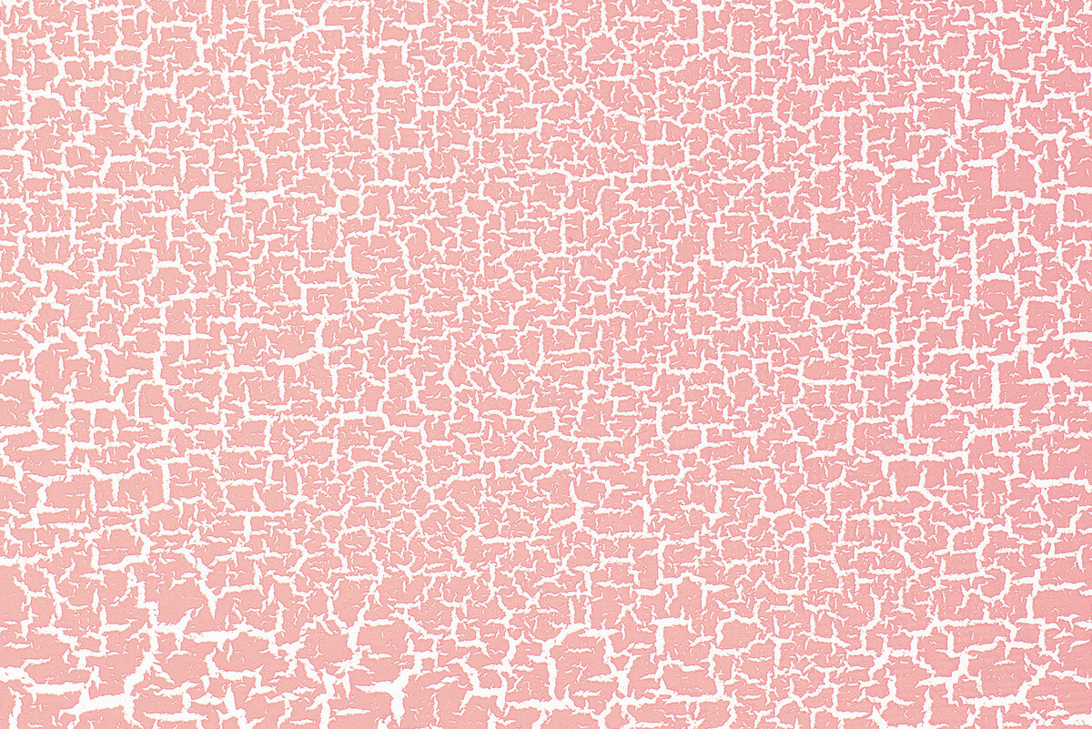 Montana Effect Crackle Spray 400ml – Begonia Pink (EC3010)