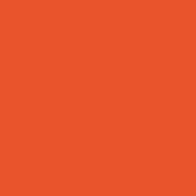 Montana Blue Water-Based 400ml Spray Paint – Groove Orange (2150)