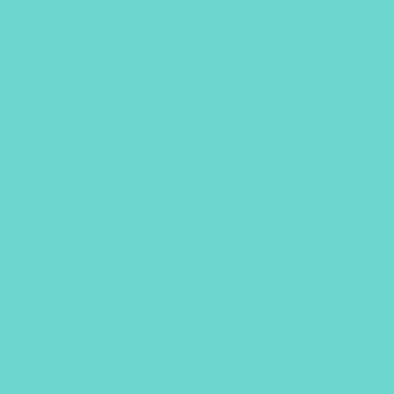 Montana Blue Water-Based 400ml Spray Paint – Shining Mint (5420)