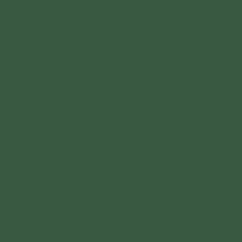 Montana Blue Water-Based 400ml Spray Paint – Woodland (6060)