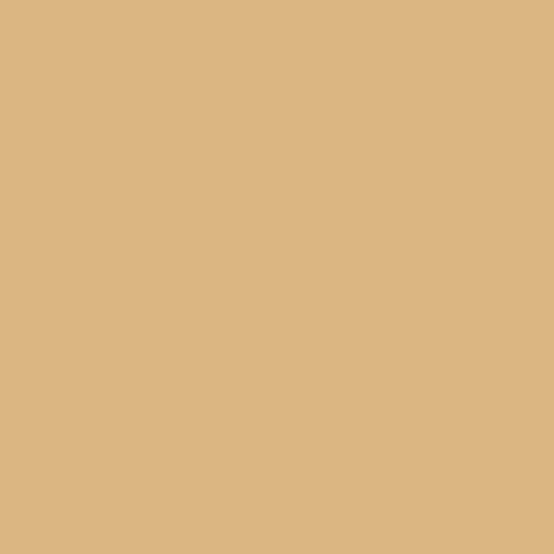 Montana Blue Water-Based 400ml Spray Paint – Beige (8025)