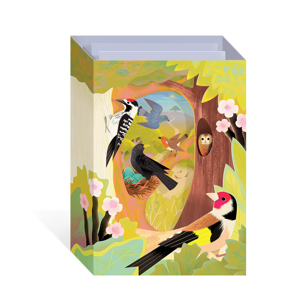 UK Birds Pop Up Greeting Card (12107) - ** Free Display Item **