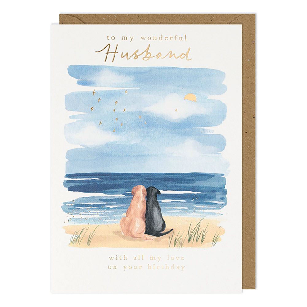 To My Wonderful Husband Birthday Greetings Card