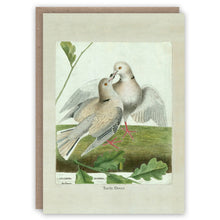 Turtle Doves Greetings Card