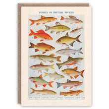 Fishes In British Rivers Greetings Card