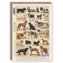 Dog Breeds Greetings Card