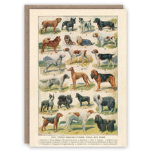 Dog Breeds Greetings Card