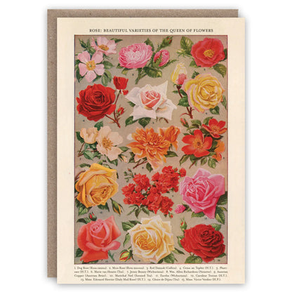 Roses Greetings Card
