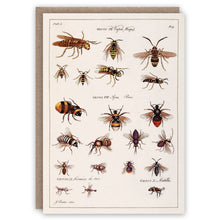 Wasps and Bees Greetings Card