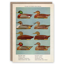Decoy Ducks Greetings Card