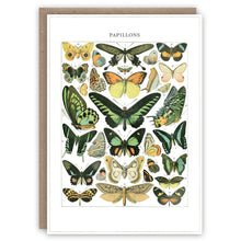 Butterfly Identification Chart Papillons Greetings Card