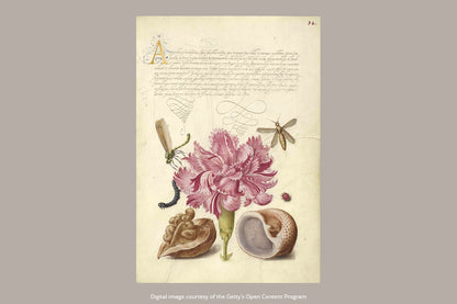 Paperblanks Pink Carnation Midi Softback Flexi Journal – Plain, 176 Pages – design detail