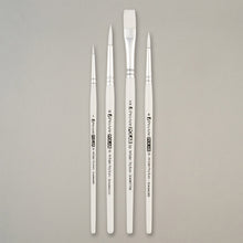 Pro Arte Back to College Polar Brush Set 31WA