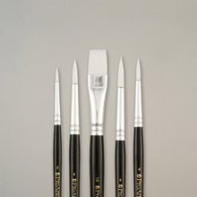 Pro Arte Back to College Scholar Brush Set 34WB