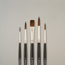 Pro Arte Back to College Scholar Sablene Brush Set 38WA